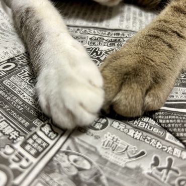手と手を取り合って