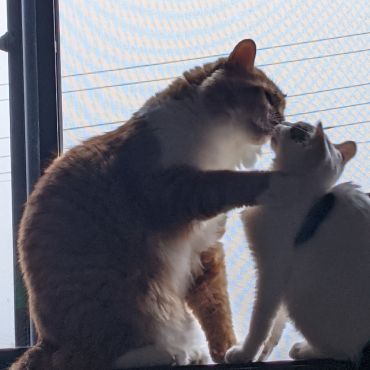 仲良しでチュ♥