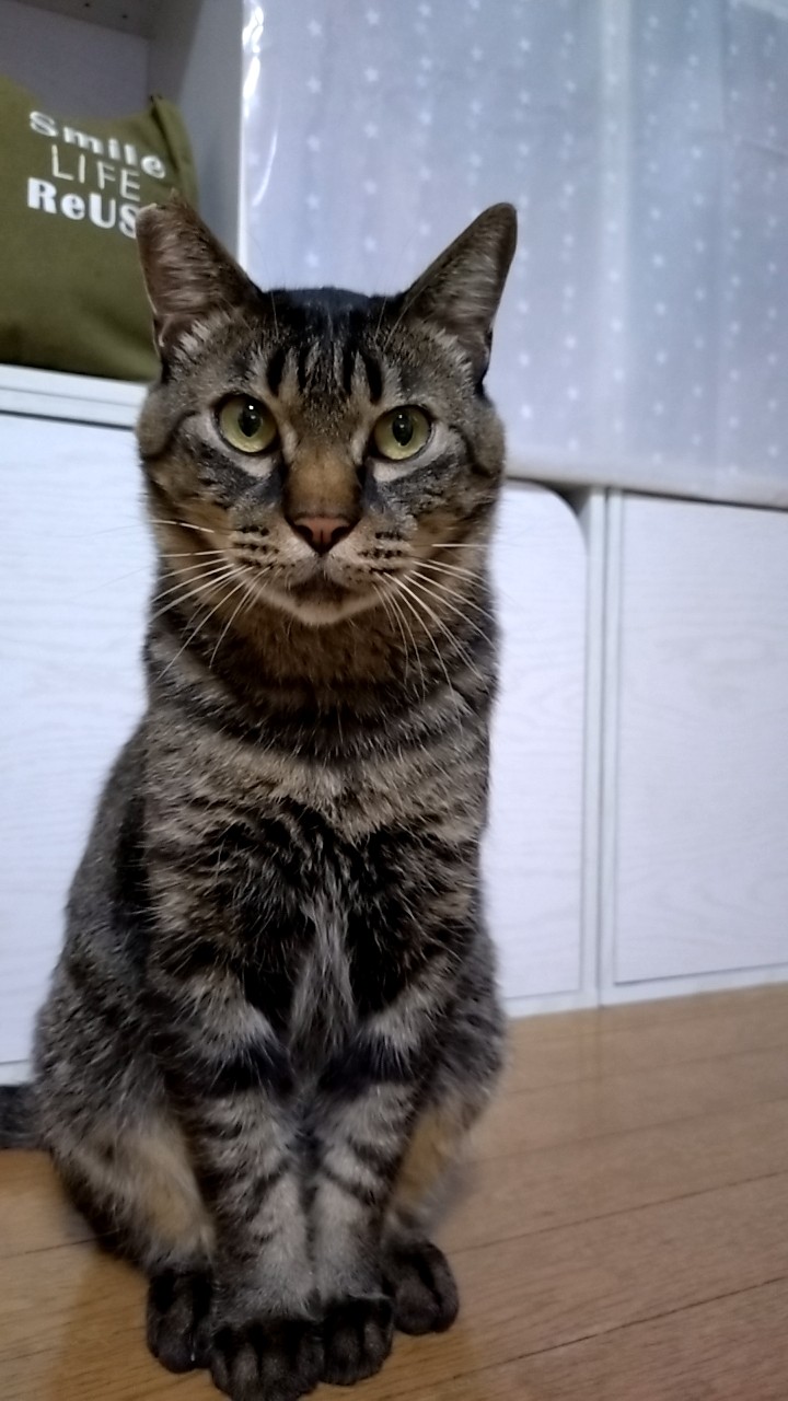 命&幸せをつないだ