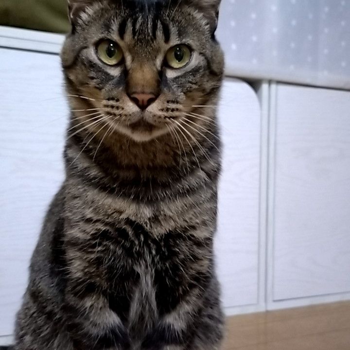 命&幸せをつないだ