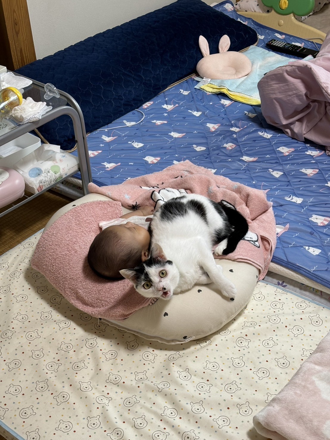 ちょっと今寝たところだから静かにしてニャ!