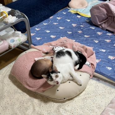ちょっと今寝たところだから静かにしてニャ!