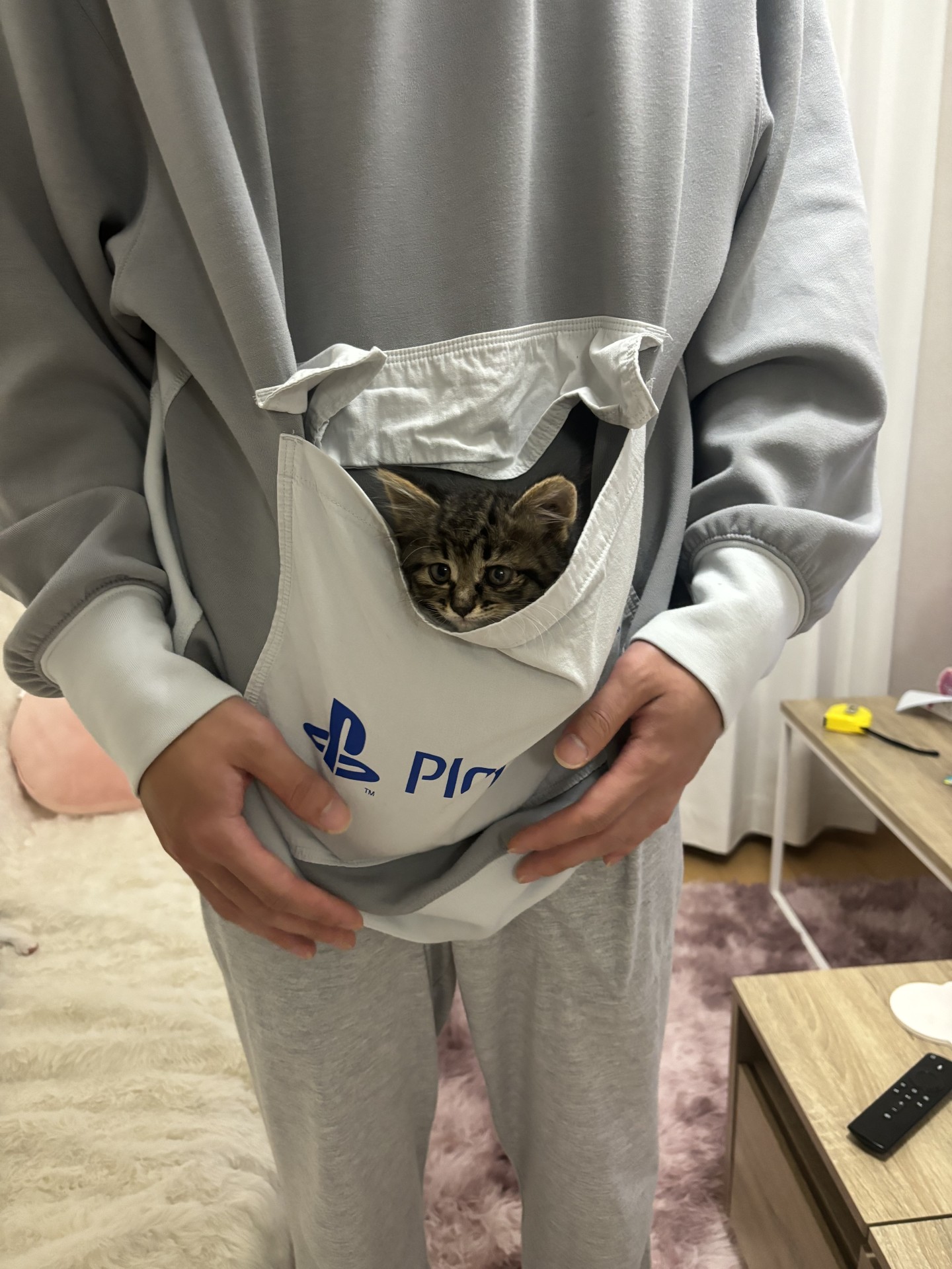 カンガルー？