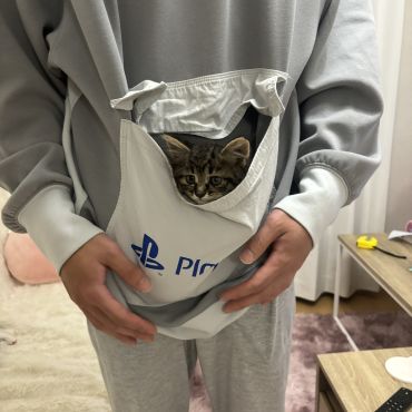 カンガルー？