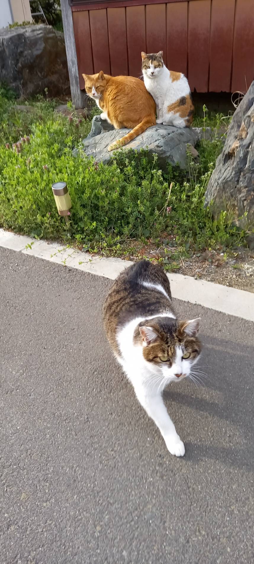 パトロール行ってきまーす