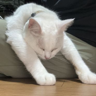 暑い!!