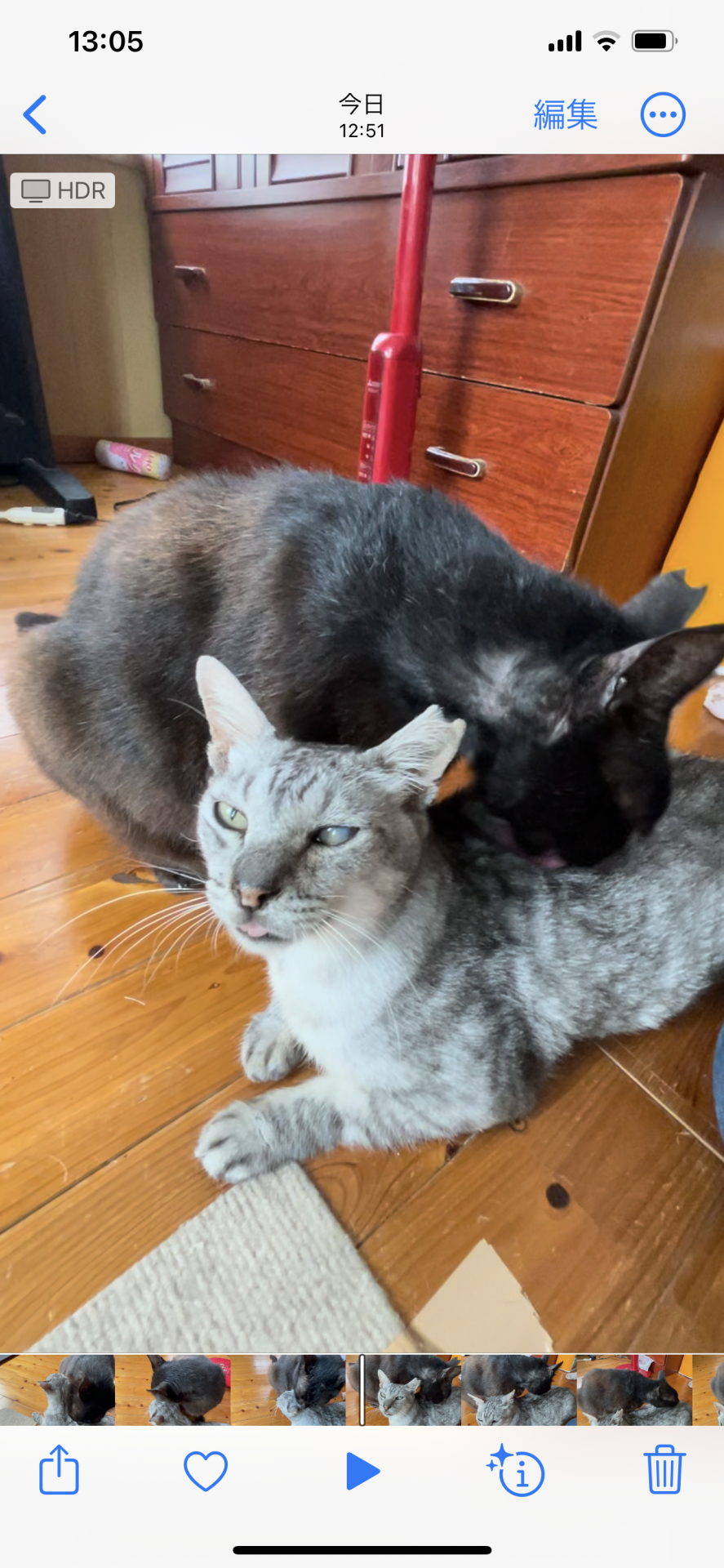 なんだか仲良し！