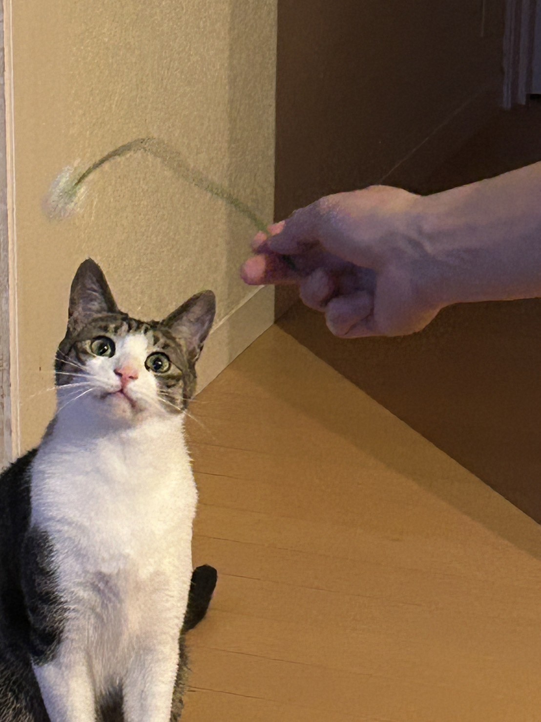 弟も出来たよ！