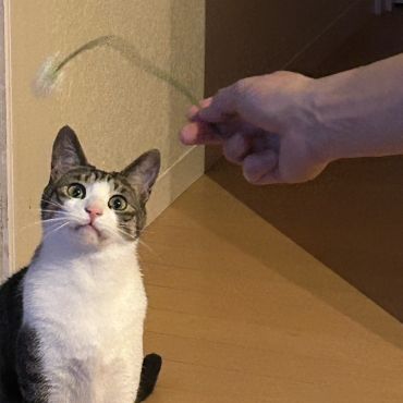 弟も出来たよ！
