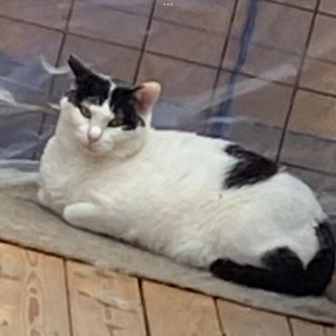 元気になったよ