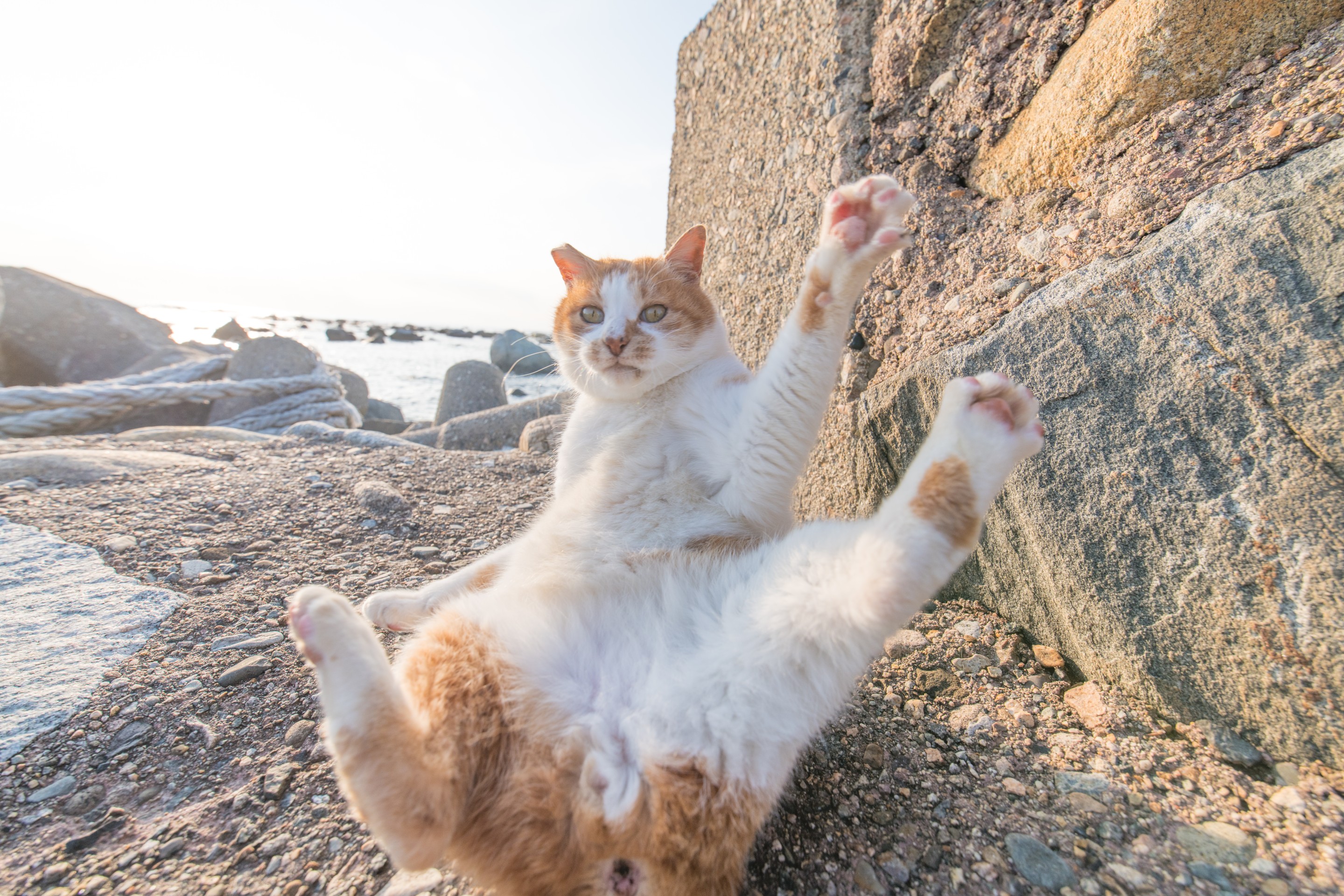 はーい！