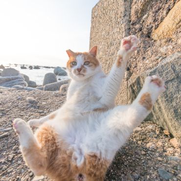 はーい！