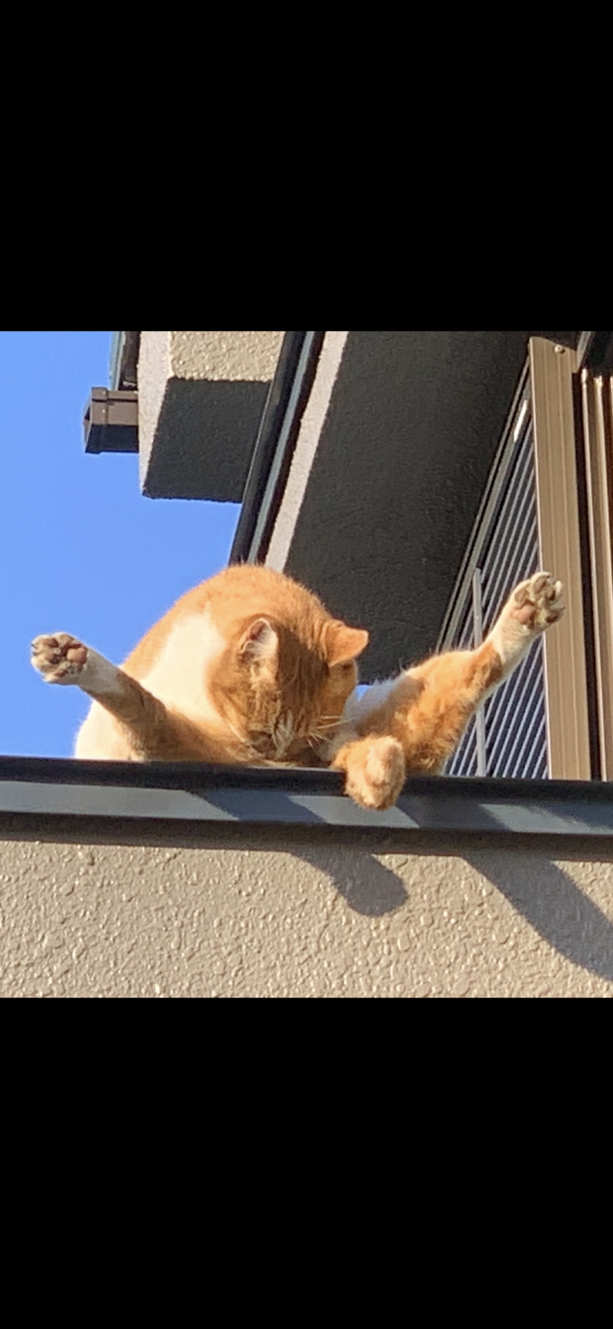 アクロバット！