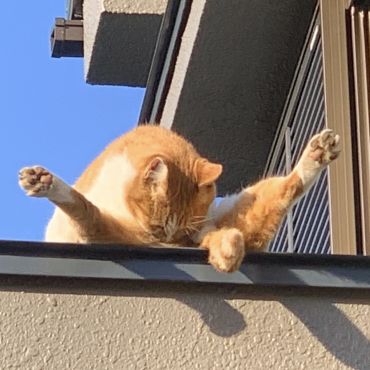 アクロバット！