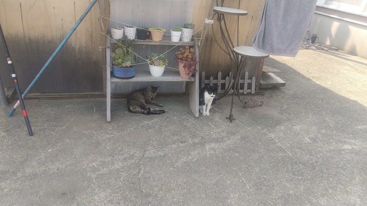 落下防止