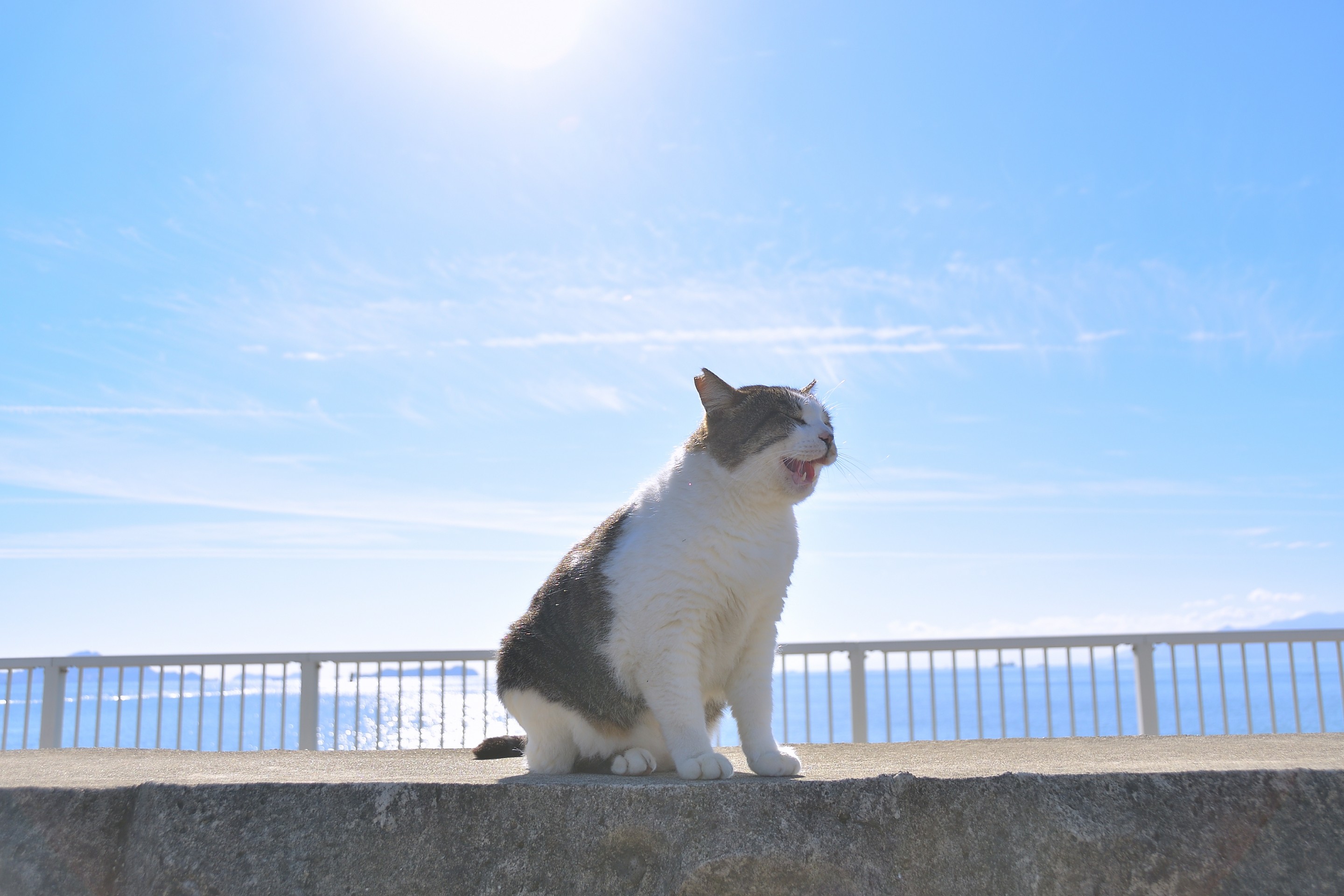 青い海と青い空