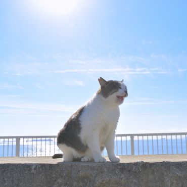 青い海と青い空