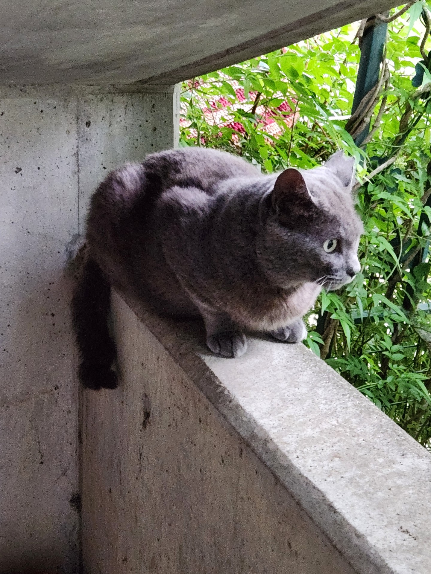 オヤジ