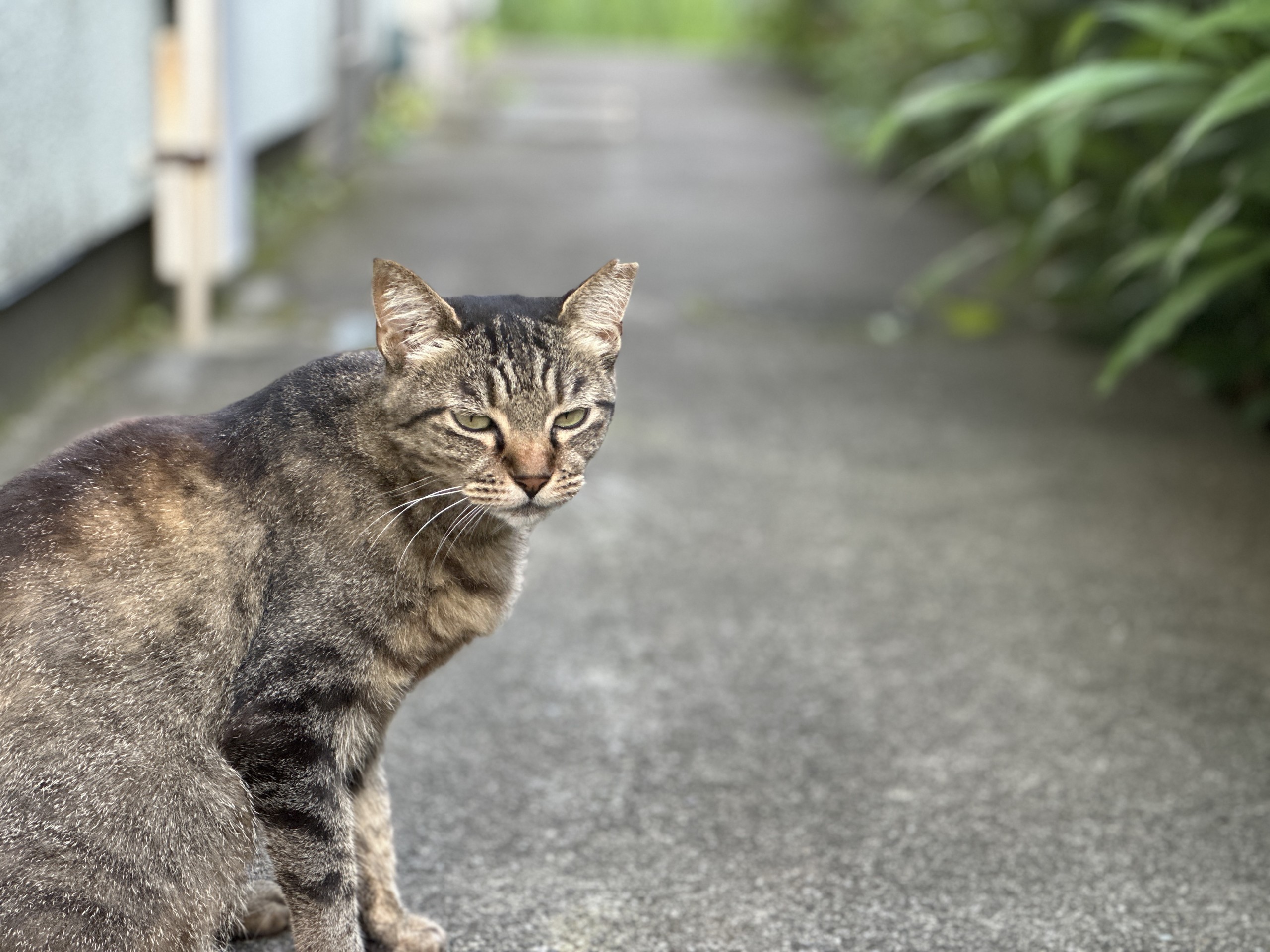 ごはんまだ～