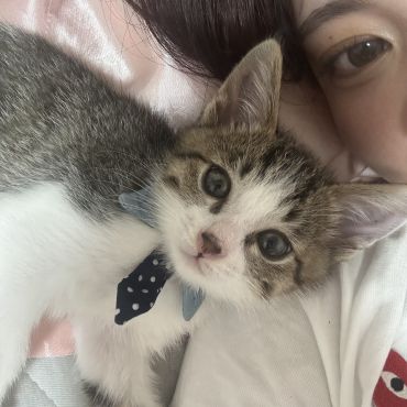ずっと一緒