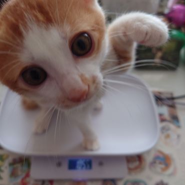 大きくなった？