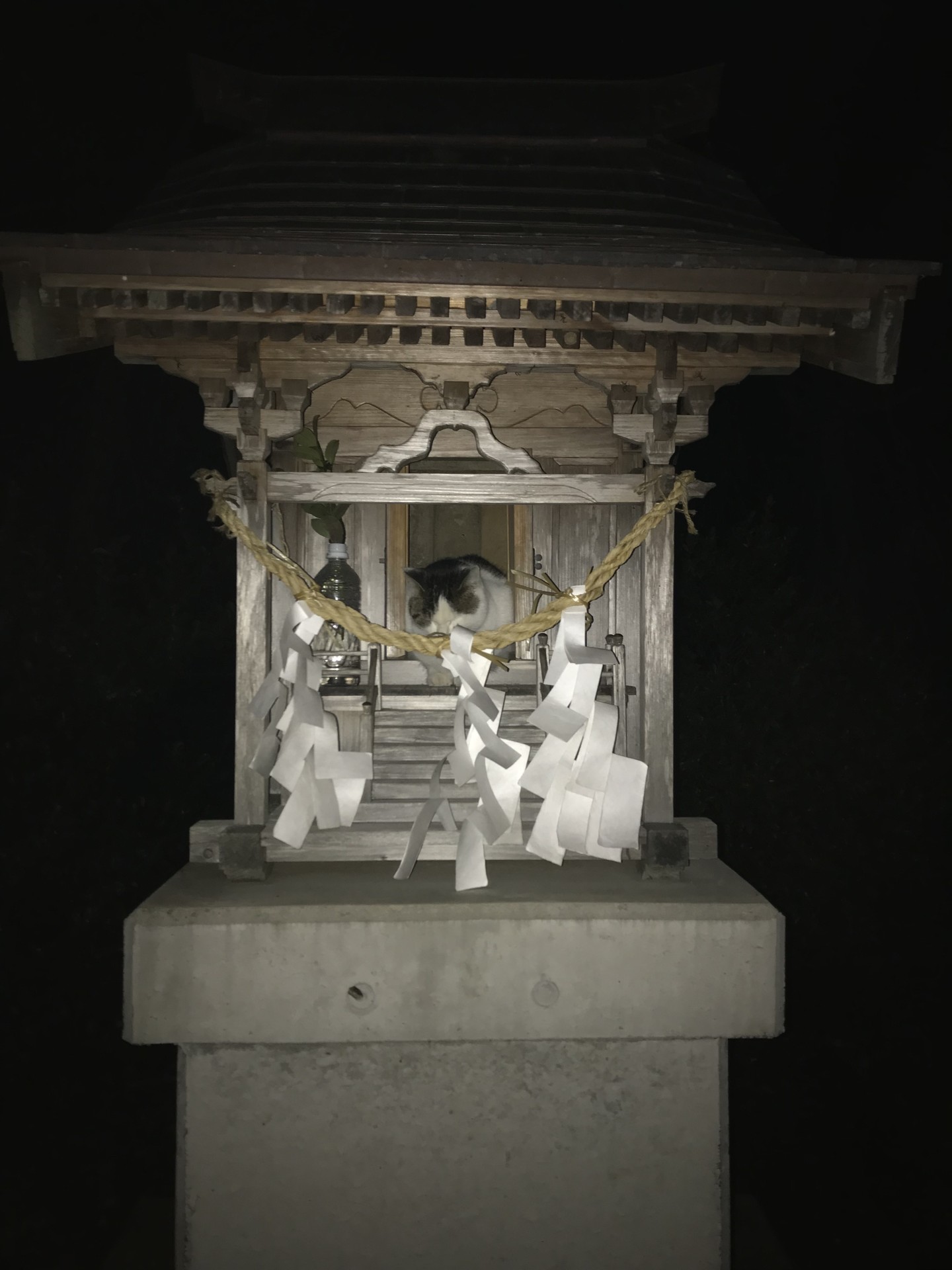 神様と一緒