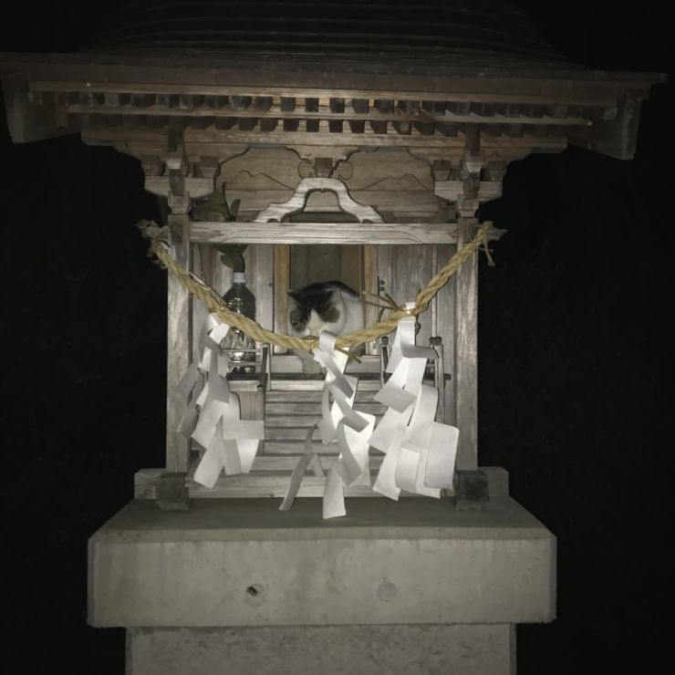 神様と一緒