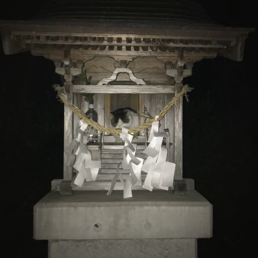 神様と一緒