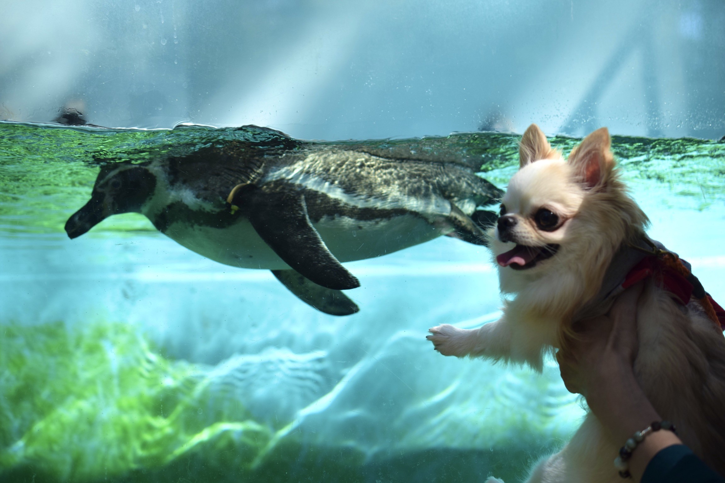 初めての動物園