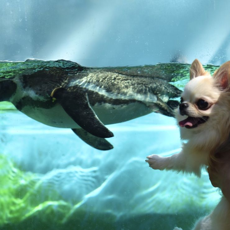 初めての動物園