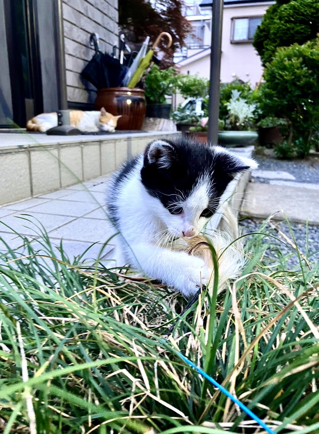 親子二代