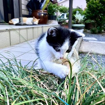 親子二代