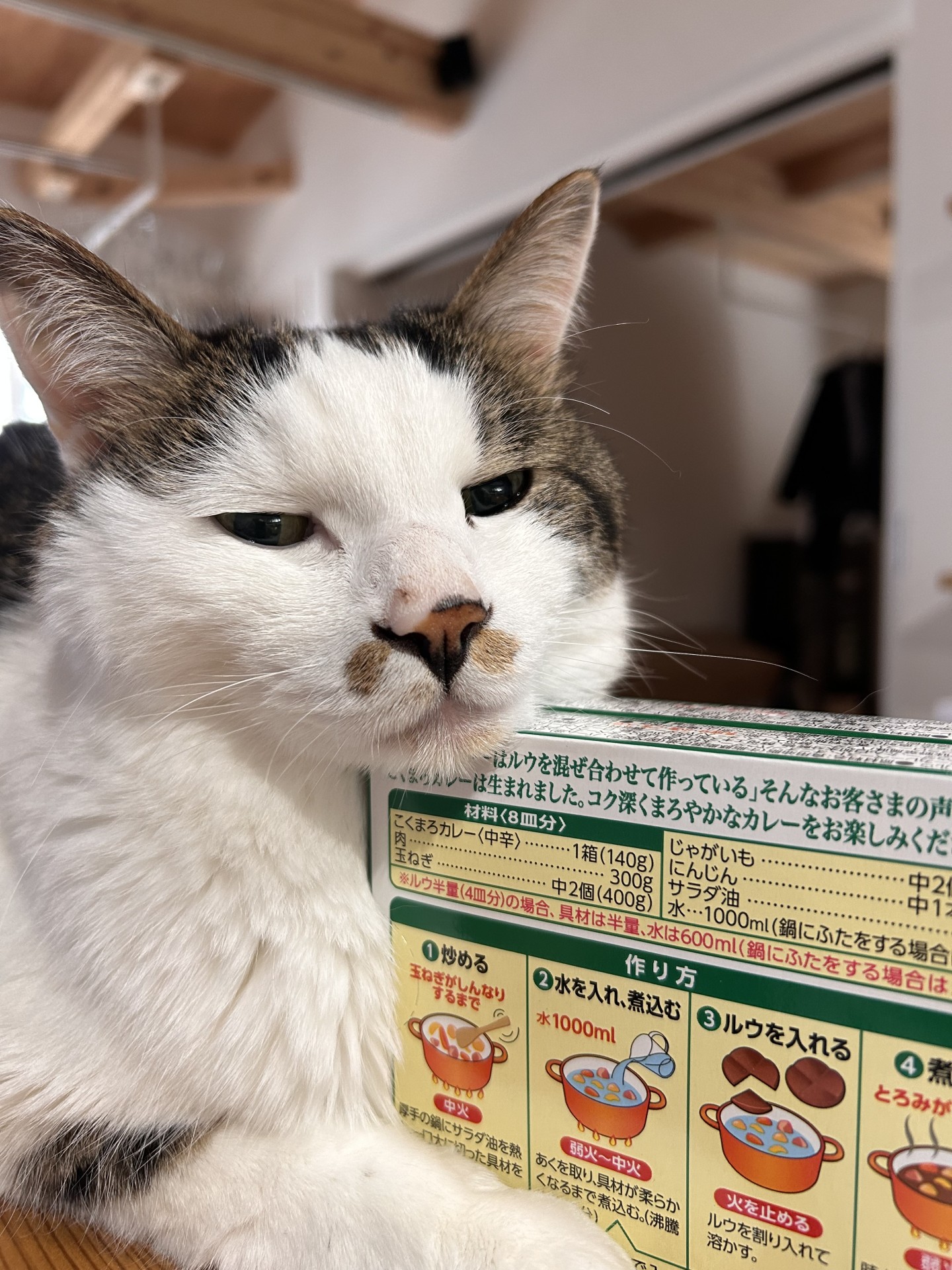 カレー