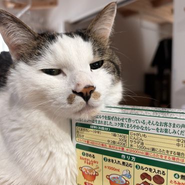 カレー
