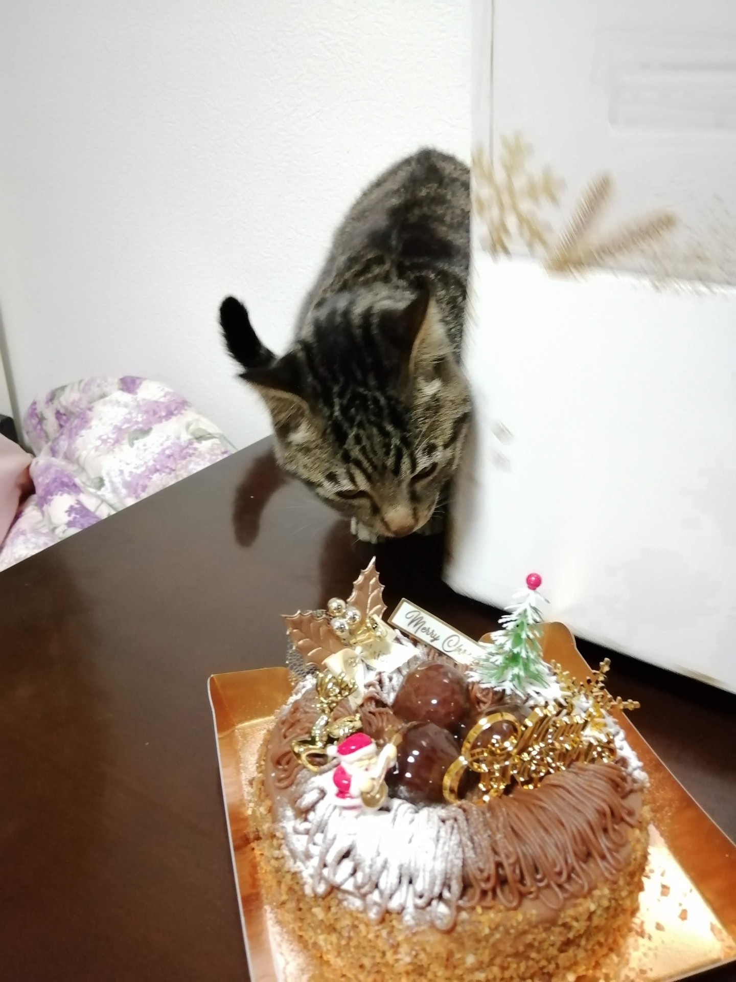 僕の大好きなモンブラン♥