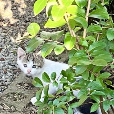 ぼくの生まれたところ