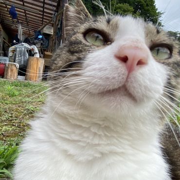 ぼくの鼻　きれいでしょ