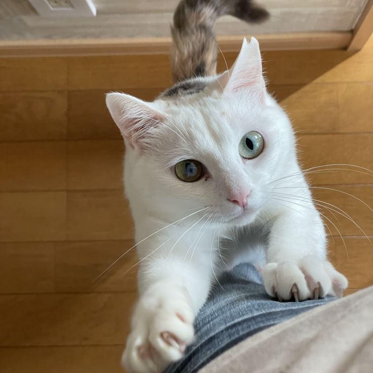 ありがとう