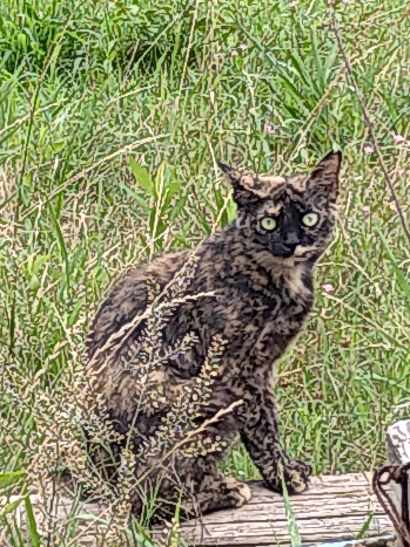 まだ帰りません