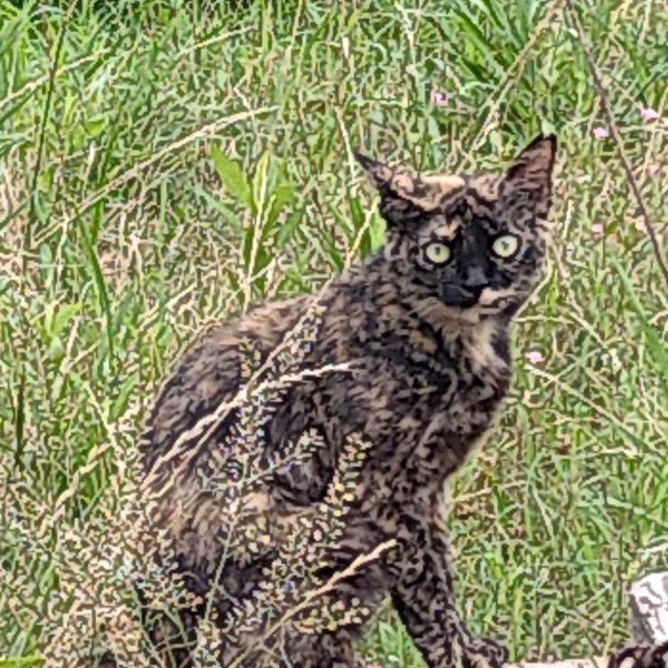 まだ帰りません