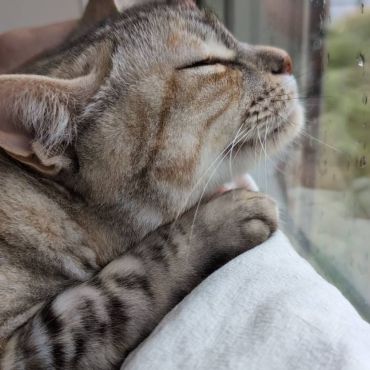 外は雨。だけど私はもうずぶ濡れにはならないよ。