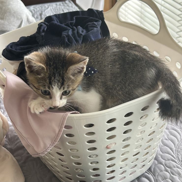 しっぽをよく見て👀