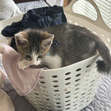 しっぽをよく見て👀