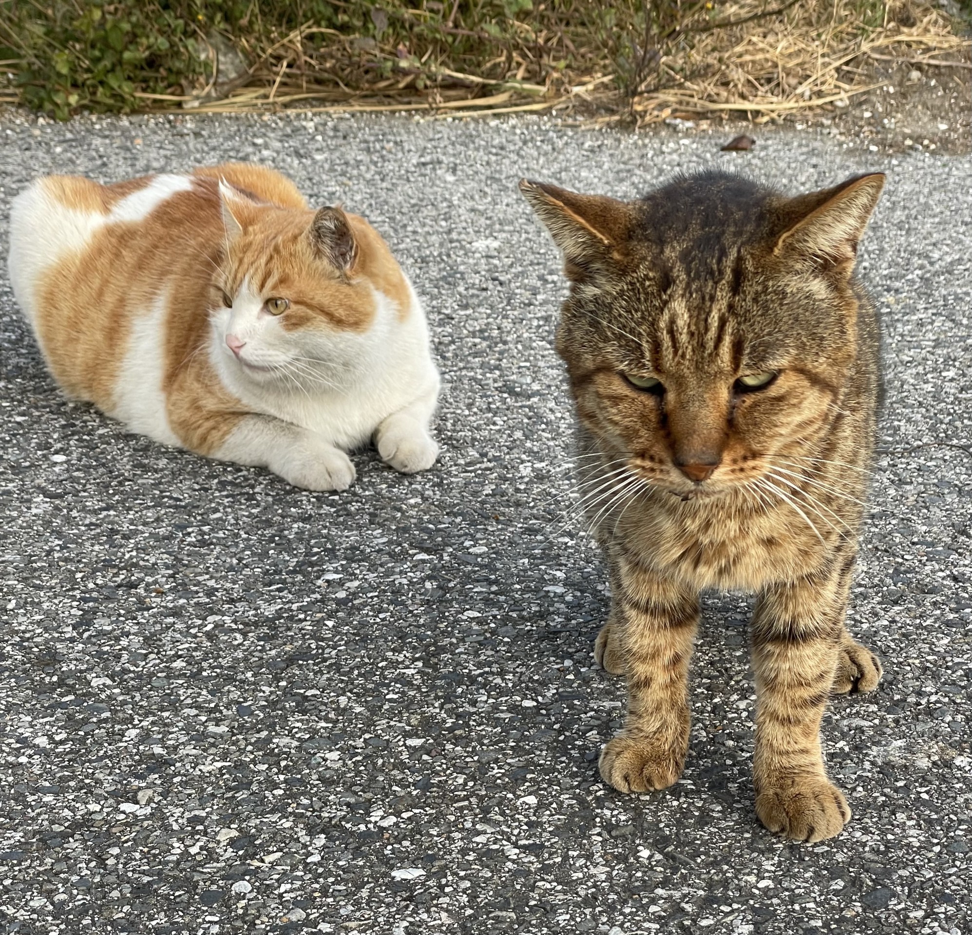 僕らは幸せだったよ