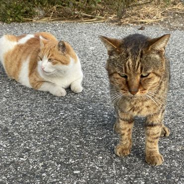 僕らは幸せだったよ