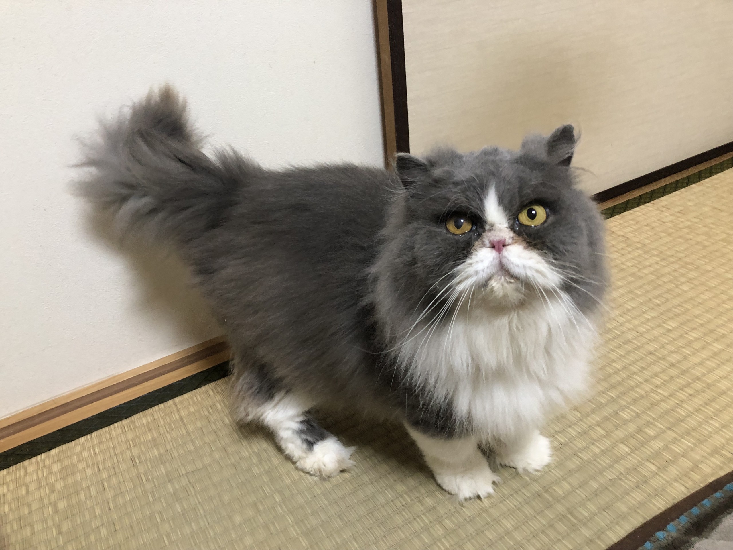 幸せを手にしました！！