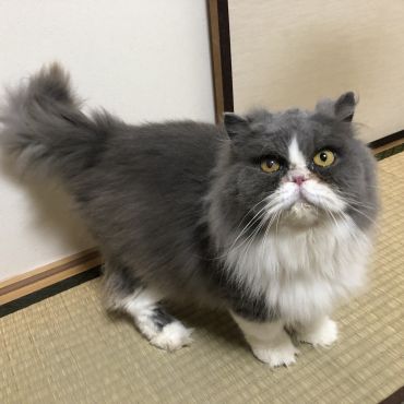 幸せを手にしました！！