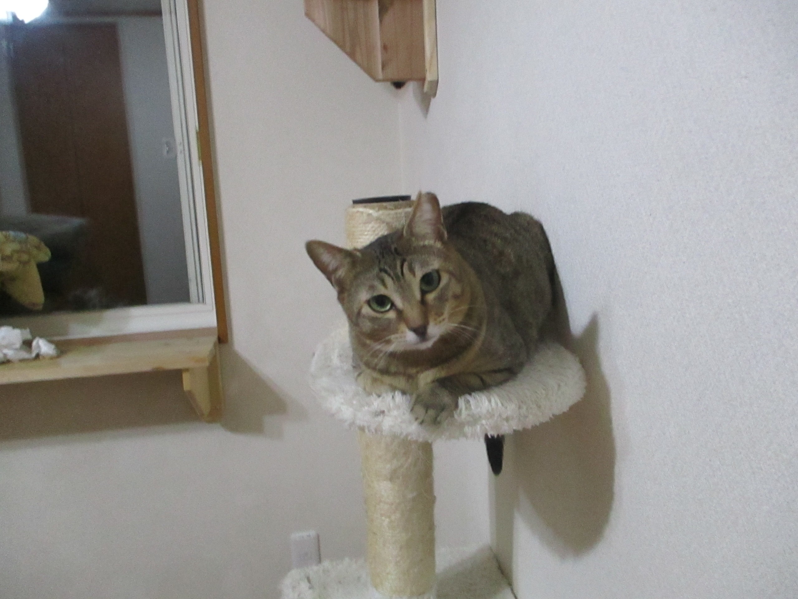 大変なお家から我が家へ