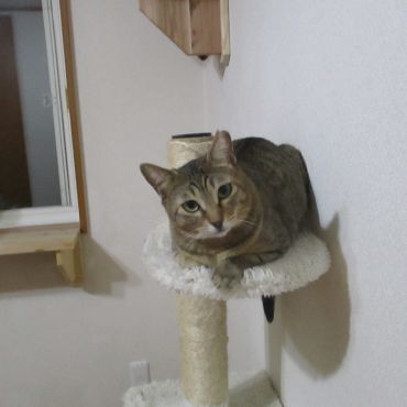 大変なお家から我が家へ