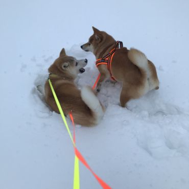 雪、だぁ〜いすき！